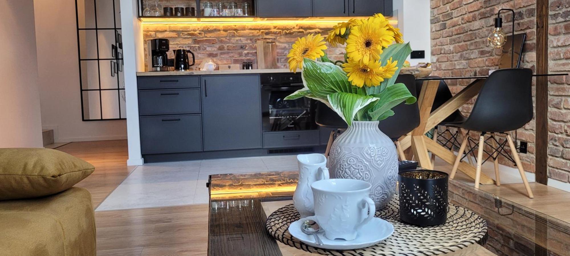 Loft Manufaktura Grossa Apartment Белско-Бяла Екстериор снимка